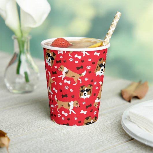 Shelties Shetland Sheepdog Collie Dog Papieren Bekers (Insitu)