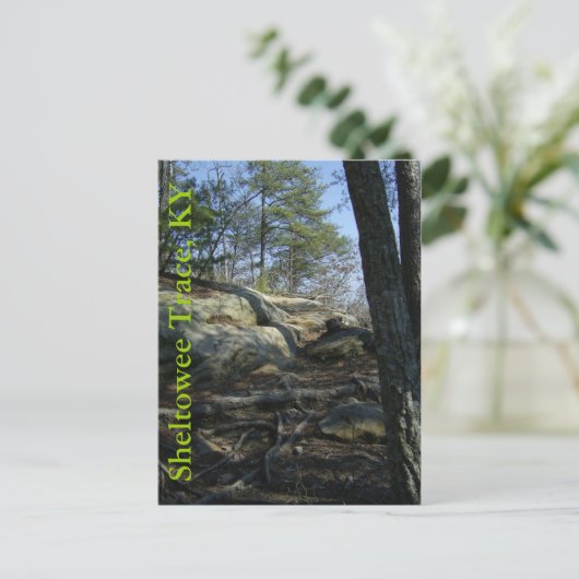 Sheltowee Trace, KY Briefkaart (Staand voorkant)