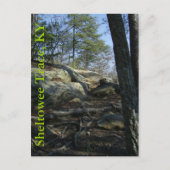 Sheltowee Trace, KY Briefkaart (Voorkant)