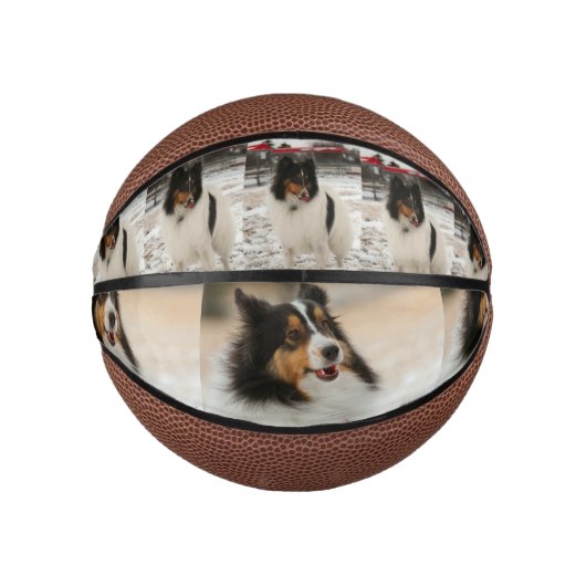 Shelty Basketbal (Voorkant)