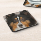 Shelty Bier Onderzetter (Linkerzijde)