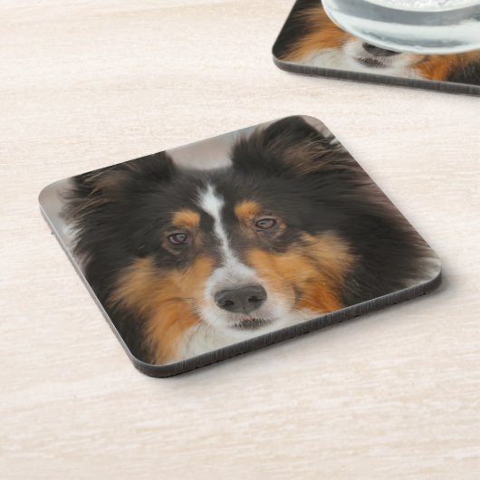 Shelty Bier Onderzetter (Linkerzijde)