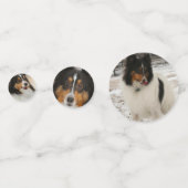 Shelty Confetti (Voorkanten)