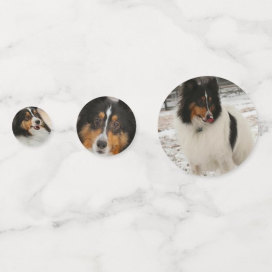 Shelty Confetti (Achterkanten)