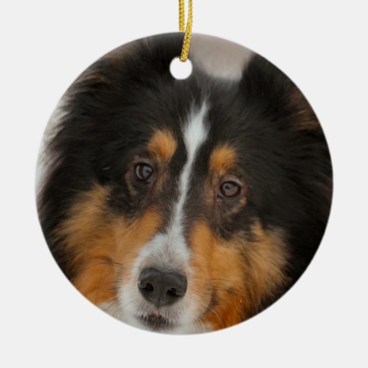 Shelty Keramisch Ornament (Voorkant)