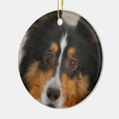 Shelty Keramisch Ornament (Links)