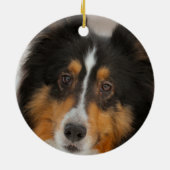 Shelty Keramisch Ornament (Achterkant)