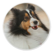 Shelty Keramische Knop (Voorkant)