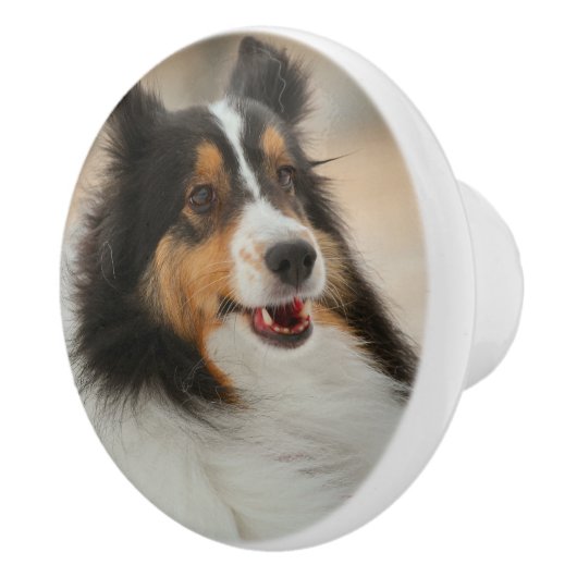 Shelty Keramische Knop (Rechts)