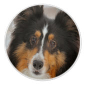 Shelty Keramische Knop (Voorkant)