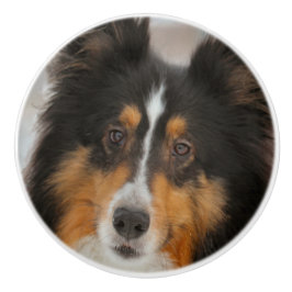 Shelty Keramische Knop