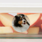 Shelty Labels (Aangebracht)