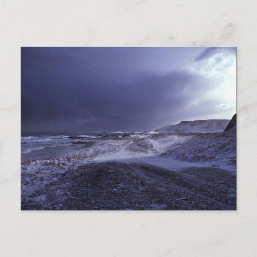 Shemya Island North Beach Briefkaart (Voorkant)