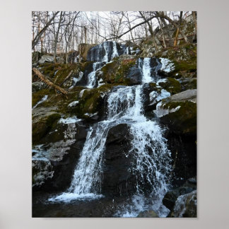 Shenandoah Cascade Poster