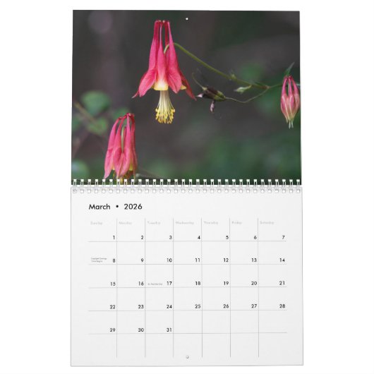 Shenandoah Nationaal Park Visioenen Kalender (Mar 2026)