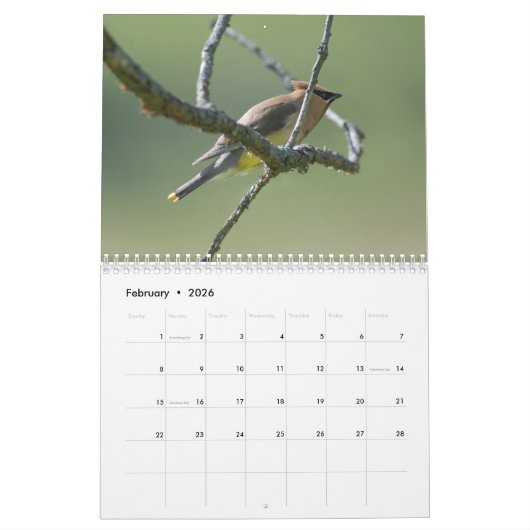 Shenandoah Nationaal Park Visioenen Kalender (Feb 2026)