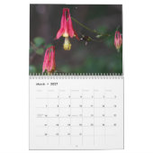 Shenandoah Nationaal Park Visioenen Kalender (Mar 2027)