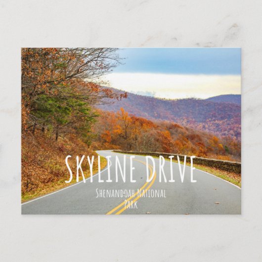 Shenandoah National Park Skyline Drive Briefkaart (Voorkant)