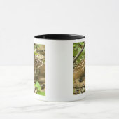 Shenandoah NP, Virginia, Verenigde Staten van Amer Mok (Midden)