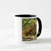 Shenandoah NP, Virginia, Verenigde Staten van Amer Mok (Voorkant rechts)