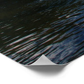 Shenandoah River Poster #4802 (Hoek)