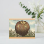 Shenandoah Valley, Virginia Giant Apple Briefkaart (Staand voorkant)