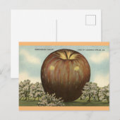 Shenandoah Valley, Virginia Giant Apple Briefkaart (Voorkant / Achterkant)