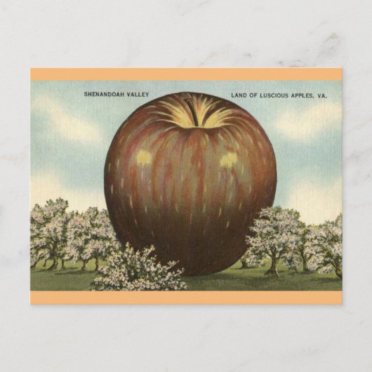 Shenandoah Valley, Virginia Giant Apple Briefkaart (Voorkant)