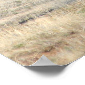 Shenanigans Poster (Hoek)