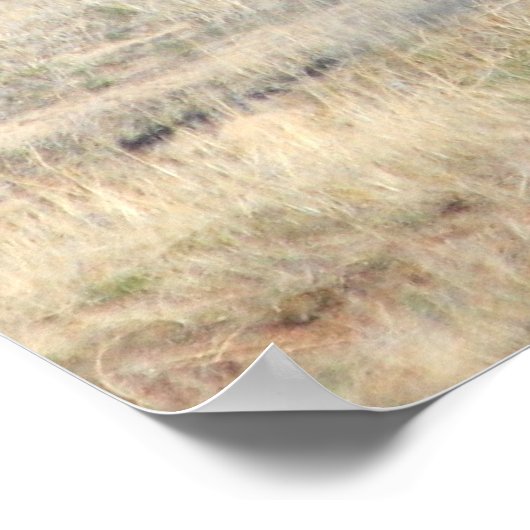 Shenanigans Poster (Hoek)