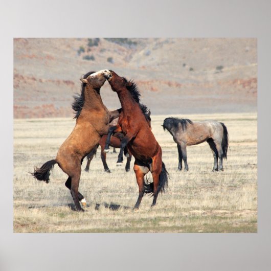 Shenanigans Poster (Voorkant)