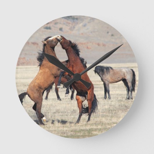 Shenanigans Ronde Klok (Voorkant)