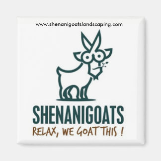 Shenanigoats magneet...vergeet ons nooit! magneet