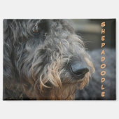 Shepadoodle Profiel Fotografisch Portret Magneet (Voorkant)