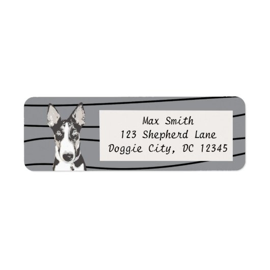 Shepherd Border Collie Etiket (Voorkant)