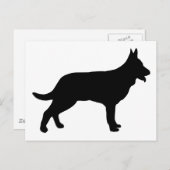 Shepherd Briefkaart (Voorkant / Achterkant)