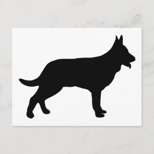 Shepherd Briefkaart