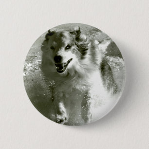 Shepherd Dog rijdt op sneeuw, Ronde Button 5,7 Cm
