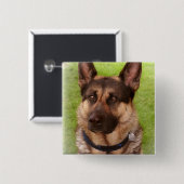Shepherd Dog Square Pin Vierkante Button 5,1 Cm (Voorkant /achterkant)
