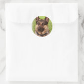 Shepherd Dog Sticker (Tas)