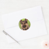 Shepherd Dog Sticker (Envelop)