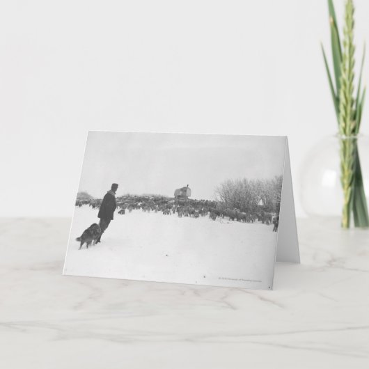 Shepherd en hond in het schapenkamp kaart (Voorkant)