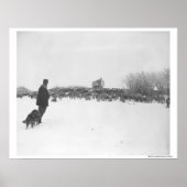 Shepherd en hond in het schapenkamp poster (Voorkant)