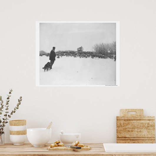 Shepherd en hond in het schapenkamp poster (Keuken)