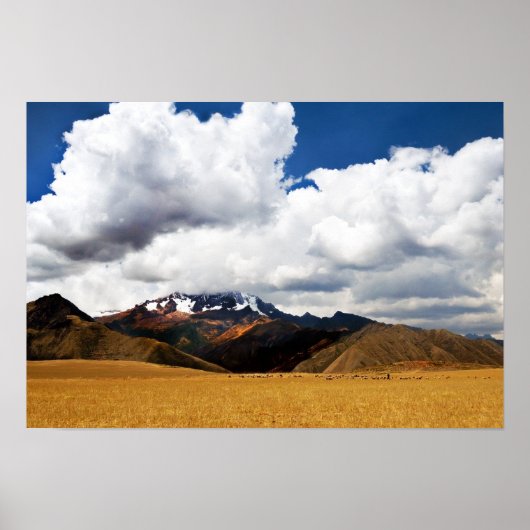 Shepherd en zijn kudde in de Peruaanse Andes Poster (Voorkant)