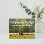 Shepherd en zijn schapenstapel briefkaart (Staand voorkant)