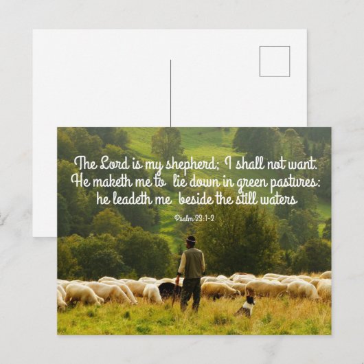 Shepherd en zijn schapenstapel briefkaart (Voorkant / Achterkant)