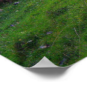 Shepherd en Zijn Sheep Poster (Hoek)