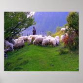 Shepherd en Zijn Sheep Poster (Voorkant)