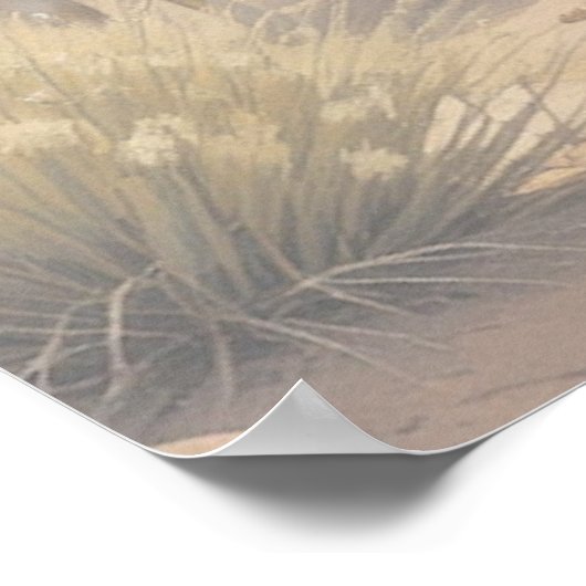 Shepherd goes before them Bible Scripture Poster (Hoek)